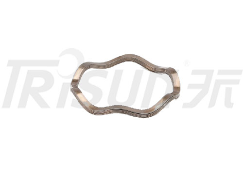 Compact and Powerful Wave Springs for Mechanical Seals