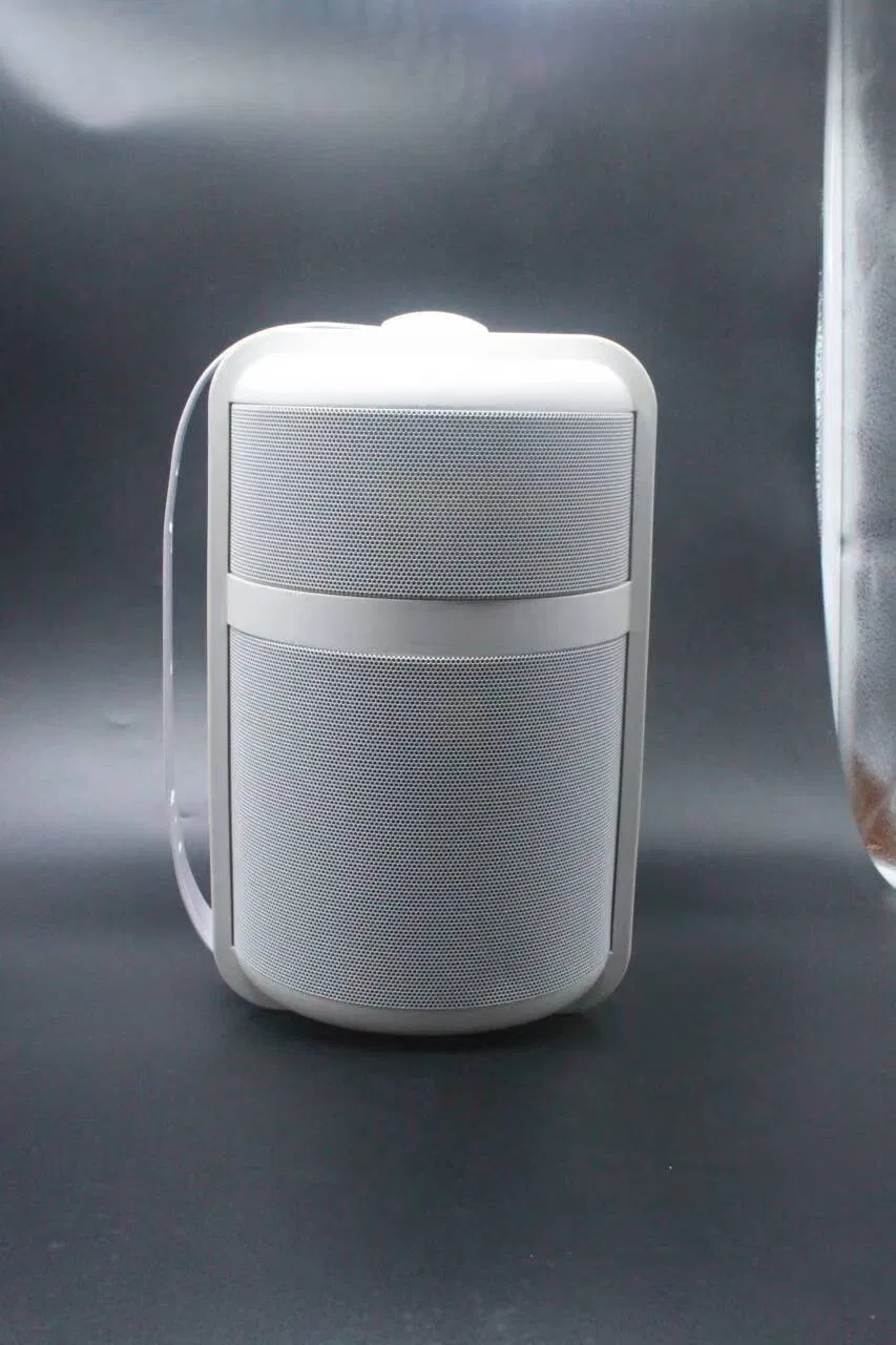 Tianlai 6.5inch Speakers for Sale Home Audio & Accessories Wall Mounted Speaker System