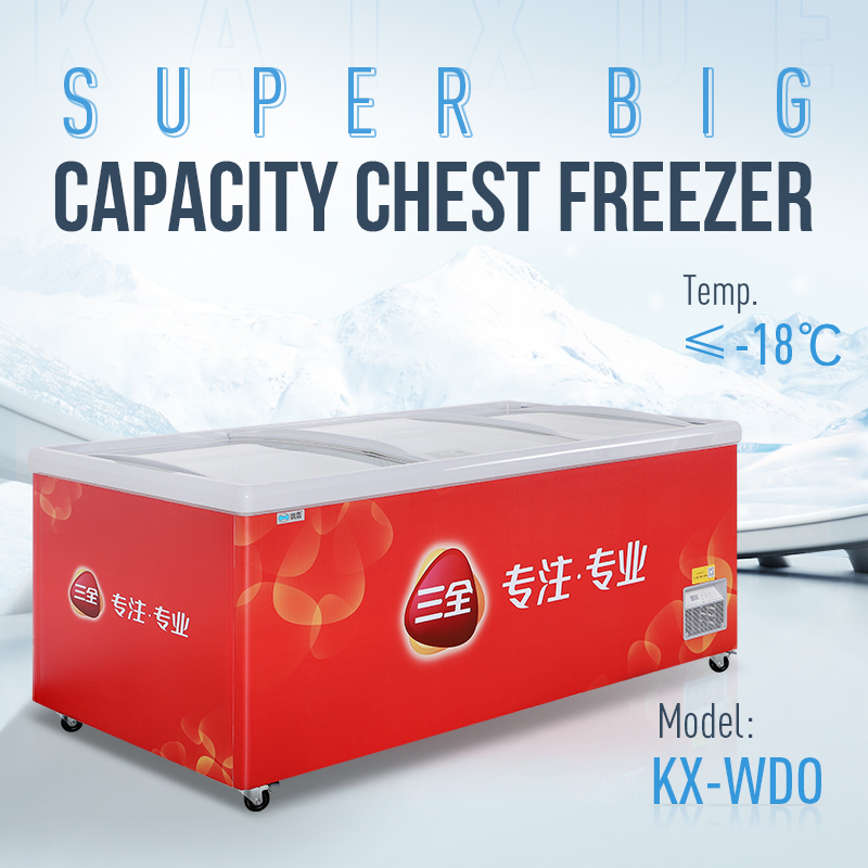 Supermarket Horizontal Automatic Defrost -18º C Display Freezer Frozen Food Chicken Meat Single-Temperature Deep Display Freezer