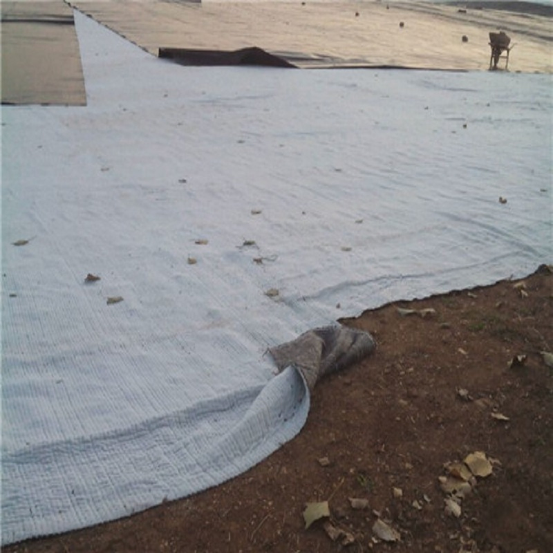 Bentonite Geosynthetics Clay Liner Gcl for Landfills/Lagoons/Canals/Tank Lining/Fish Farm/Pond