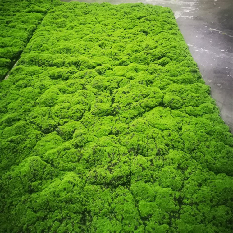 Коврик мох искусственный зеленая трава для сада