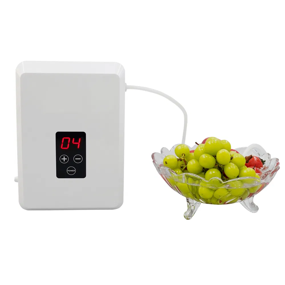 Water Food Sterilizer Ozonizer Ozonator Deodorization Ozone Generator Air Purifier