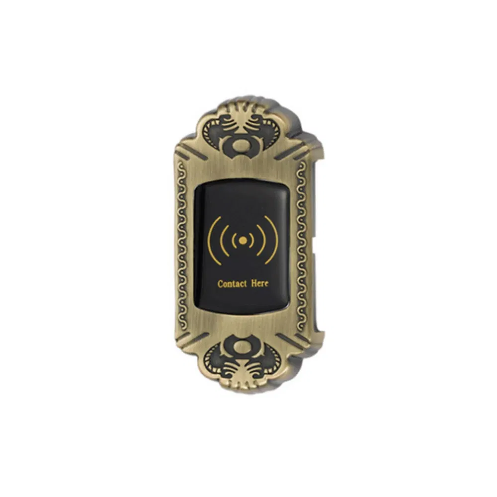 Alloy Public Mode Swimming Pool 125kHz Cabinet Lock Smart RFID Locker Lock