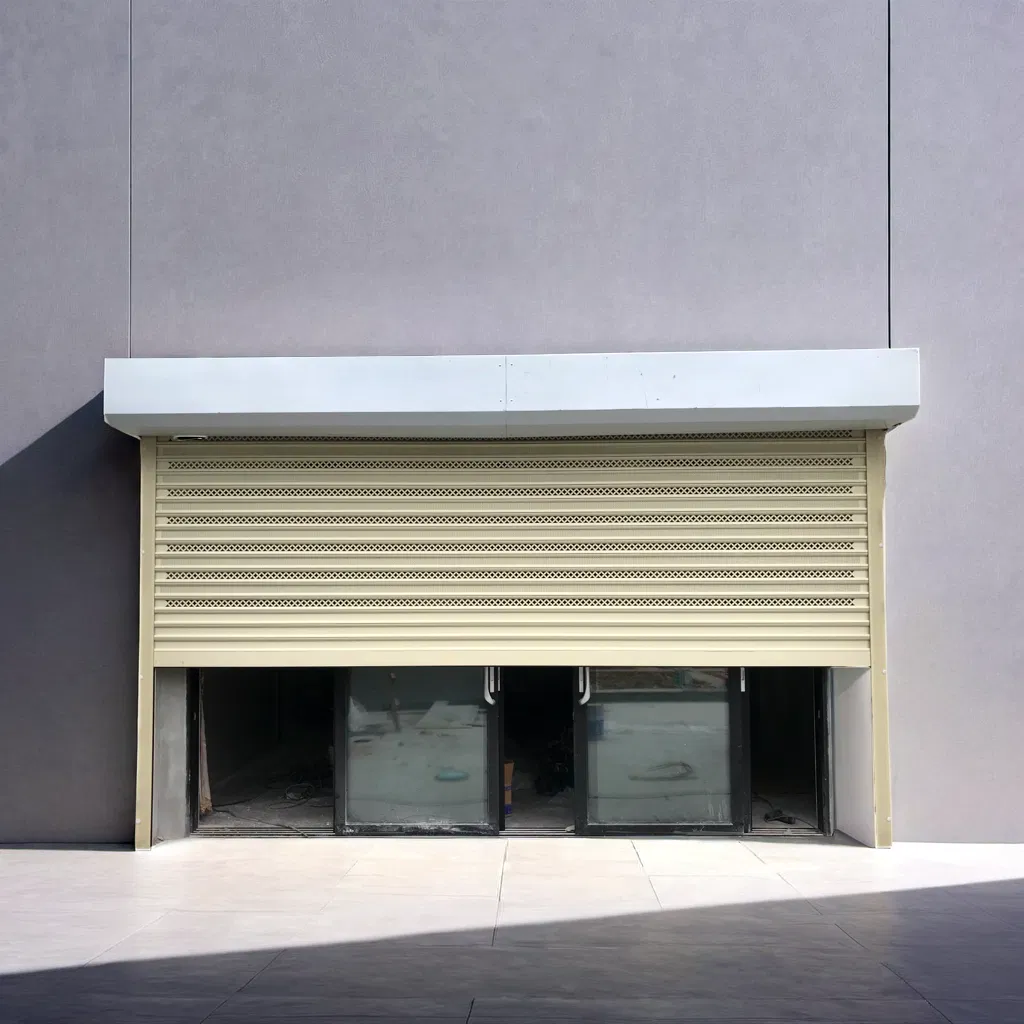 Premium Onos Steel Automatic Roll-up Garage Door with Custom Thickness