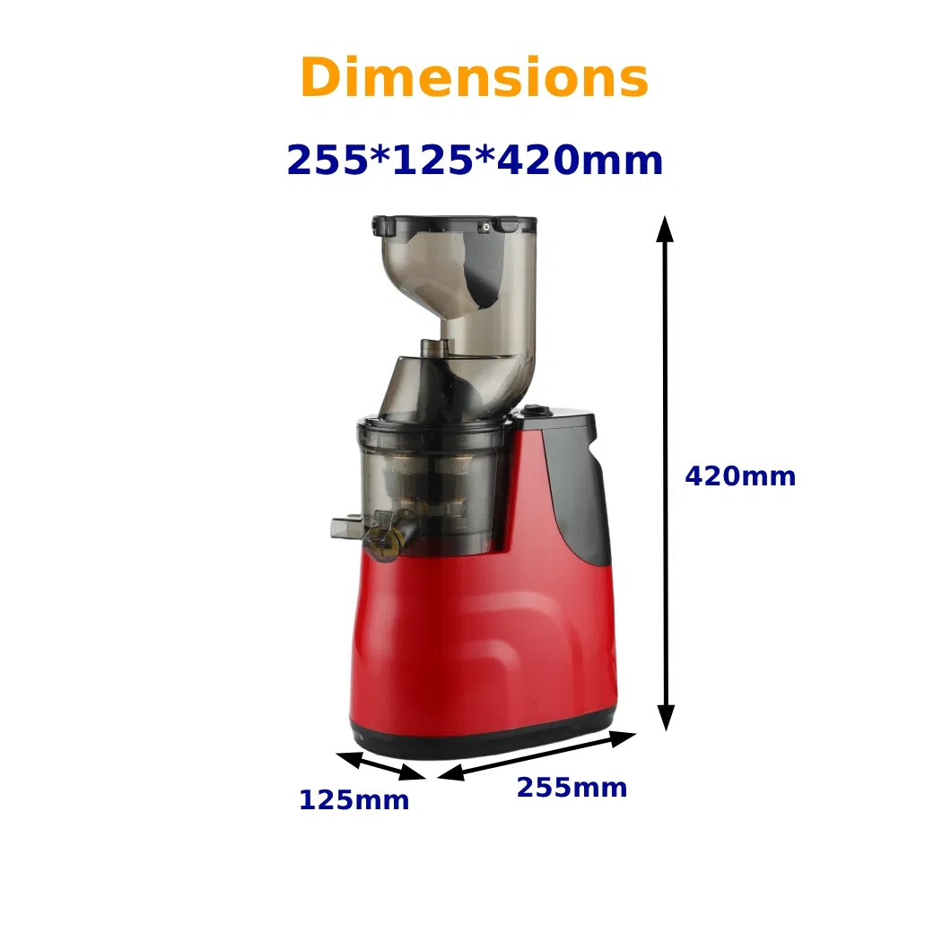 Slow Juicer with High Nutrient Retention for Fresh Juices Easy to Clean