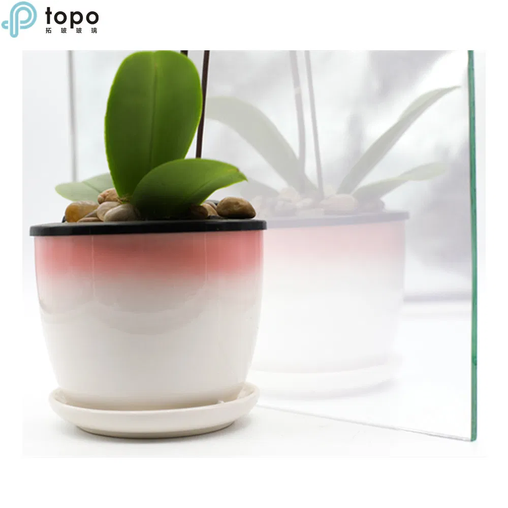 Wisdom 3D Holographic Media Display Glass (S-F7)