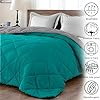 Antibacterial Waterproof Breathable Down Comforter