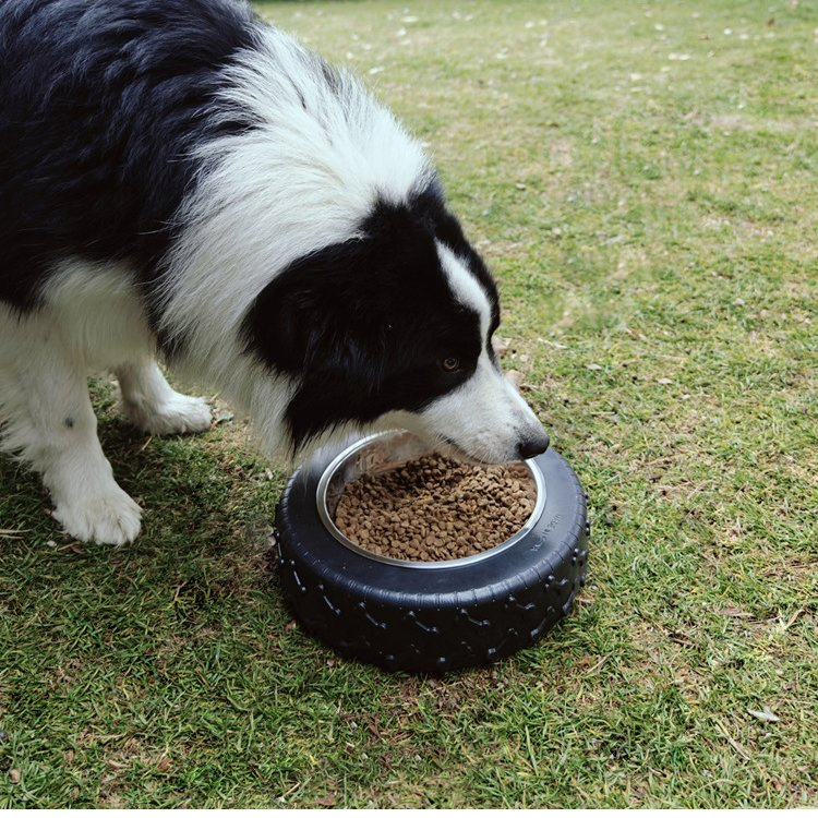 Rubber Tyre Design Dog Bowls Stainless Steel Pet Food Water Dog Bowl Portable Travel Tire Shaped Dog Bowl