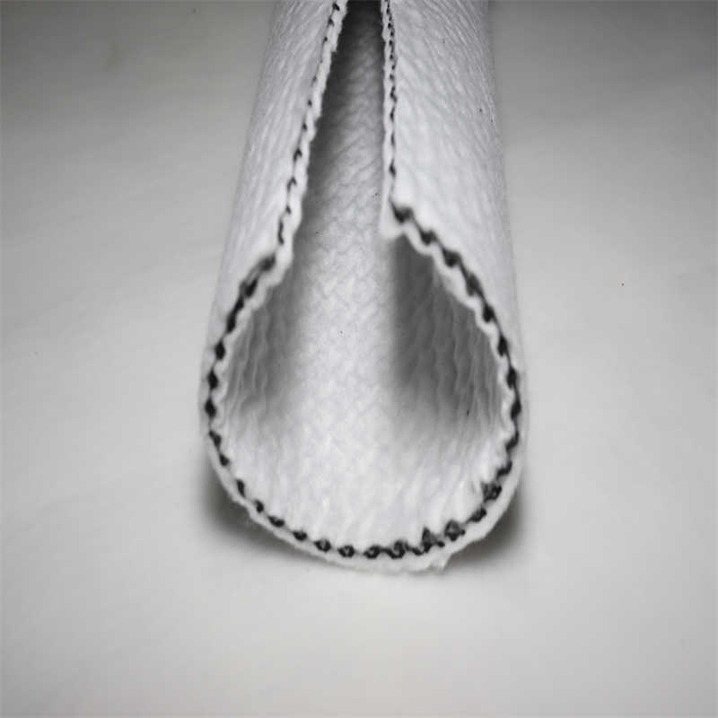 Geocomposite Drainage Pedal 16mm 20mm 45mm Waterproofing Drainage Board