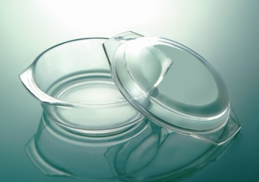 Borosilicate Glass Food Casserole, Heat Resistant Glass Container, 1.0L, 2.2L, 3.0L