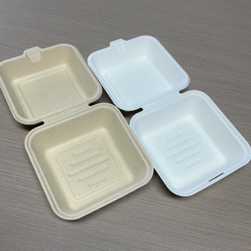 High Quality Disposable Sugarcane Bagasse Tableware with Lid Clamshell Food Container