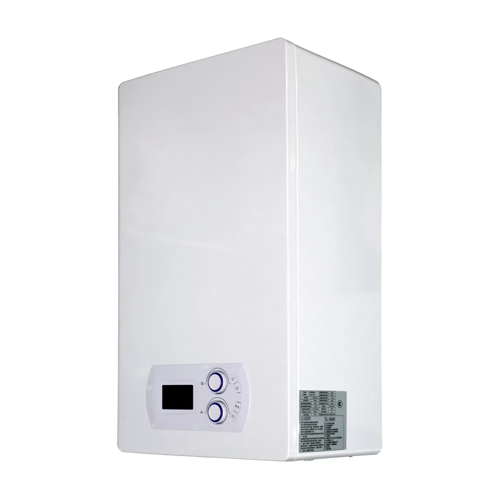 28kw Two Heat Exchanger Wall-Hung Gas Boiler for Comfort