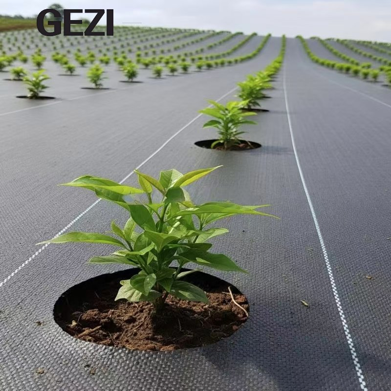 PP Woven Membrane Ground Cover Anti Grass Weed Control Cloth Blocker Mulch Film Landscape Fabric Barrier Weed Mat