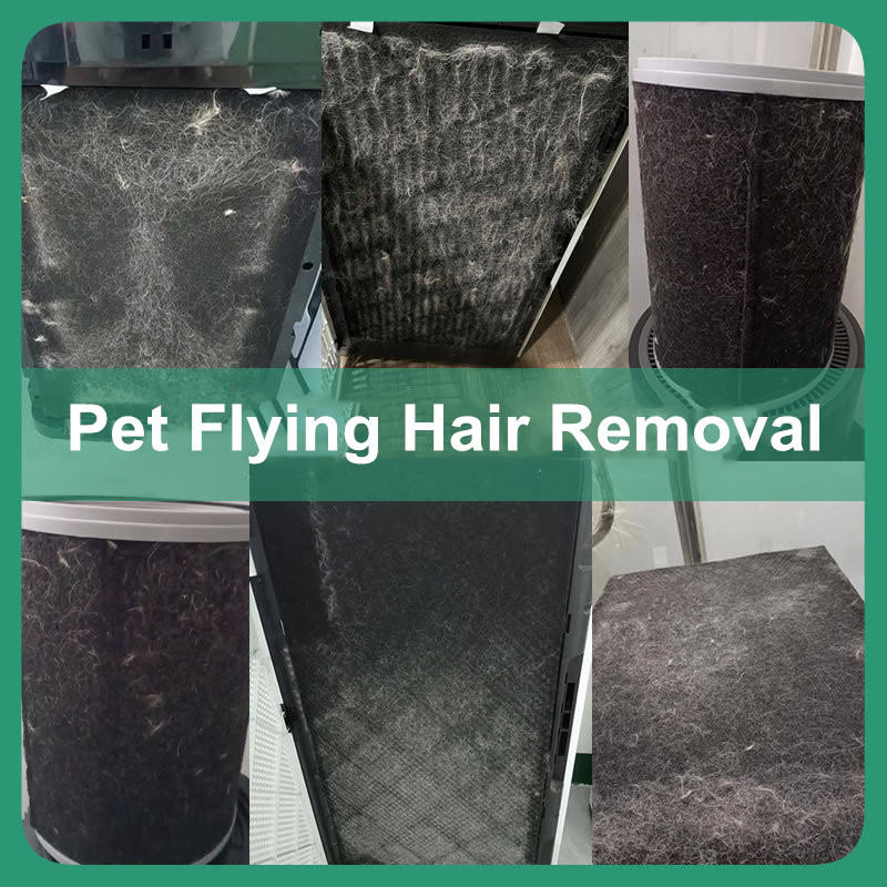 Low Noise Pet Flying Hair & Odor Purifier with Tuya APP & LED Screen Monitoring
