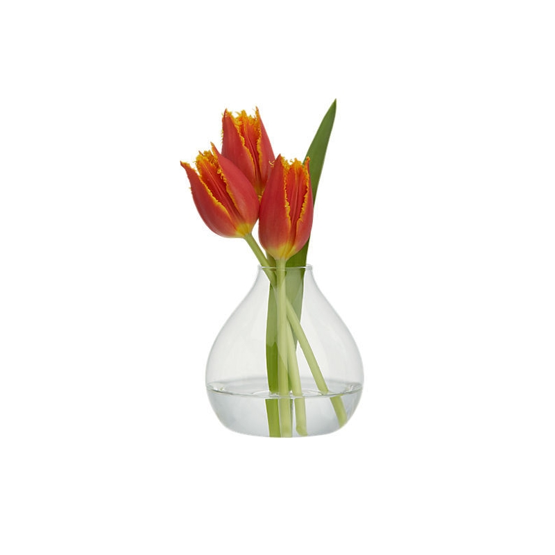 Transparent Large Glass Vase/ Flower in Different Container/ Home Decorations
