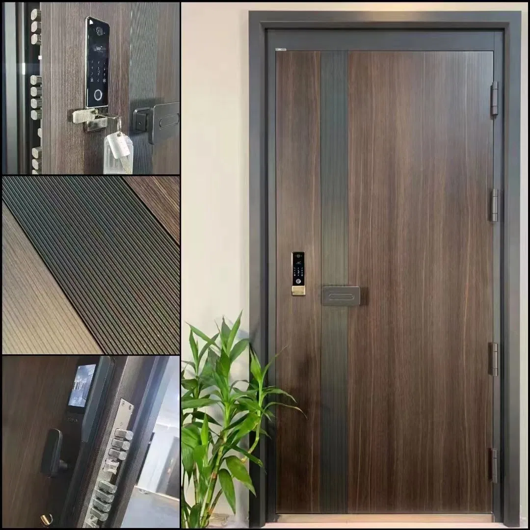 Modern Design Exterior Solid Glass Front Entry Stainless Steel Security Door