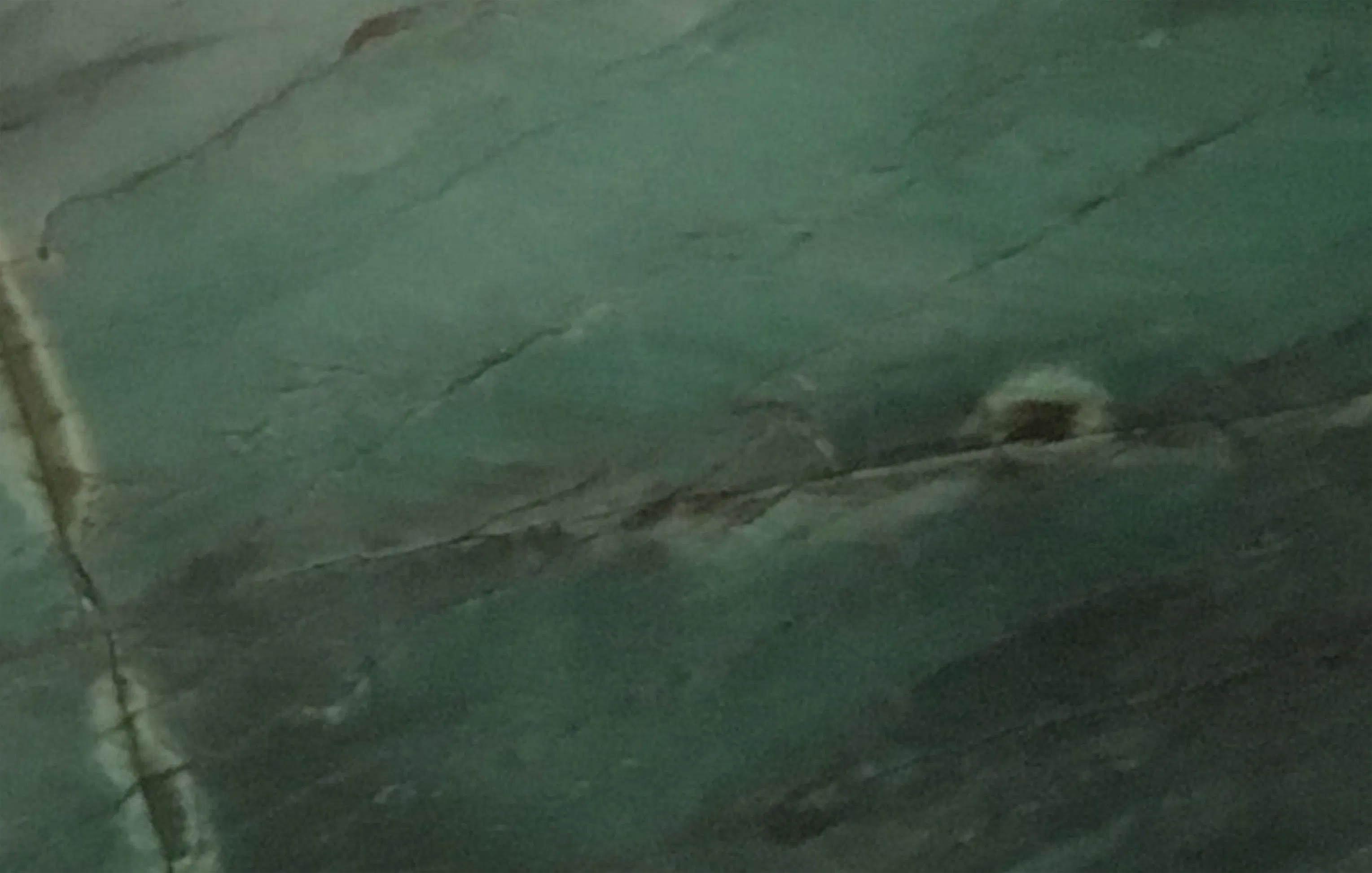 Botanic Green Brazil Green Quartzite Tiles & Slabs