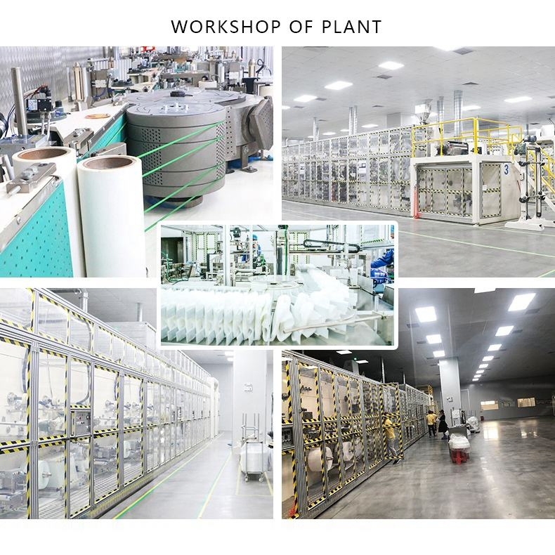 Premium Compressed Towels Dispenser with Mini Towels for Sale