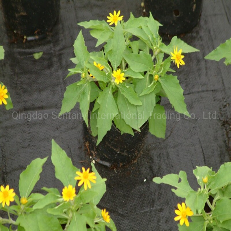 Black Straw Proof Cloth Grass Proof Cloth 1