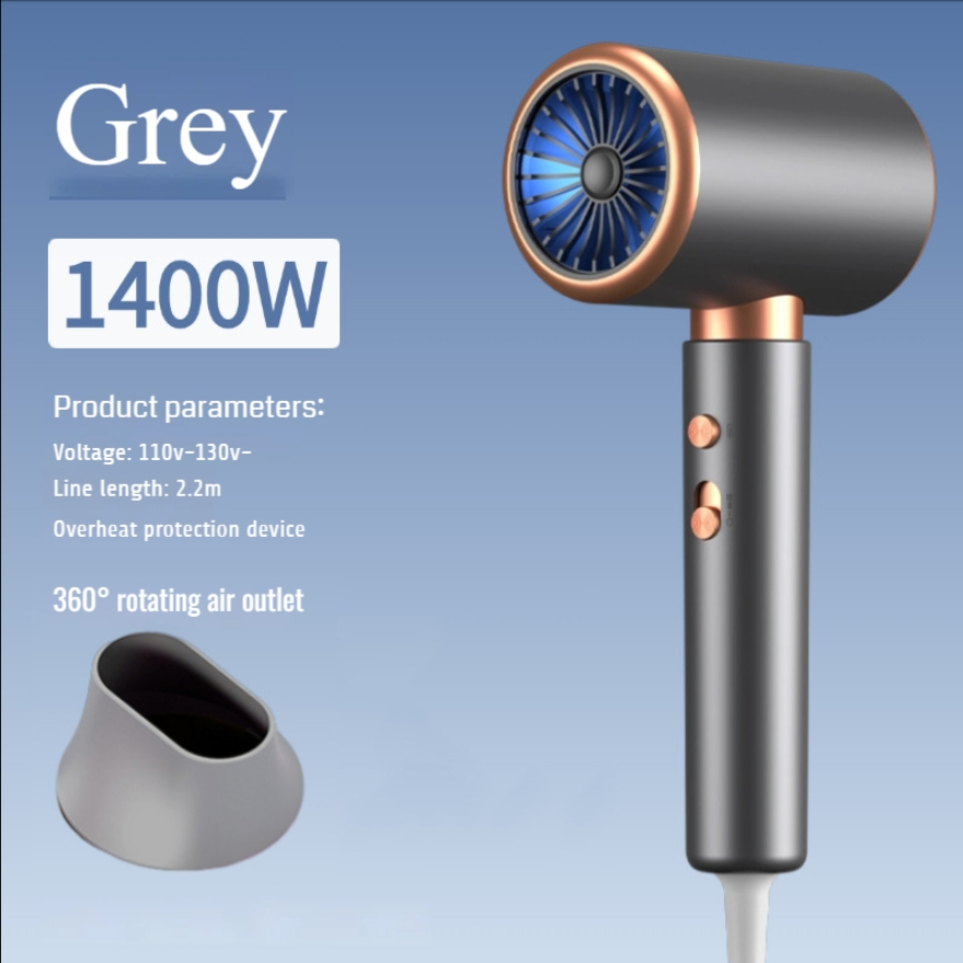 10130909 Hair Dryer