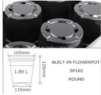 6pack Flower Planter Pot Carry Tray Shuttle Tray St165-6 (ST650-6)