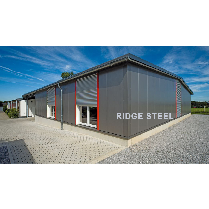 China Prefabricated Steel Structure Commercial Modular Metal Building Shed