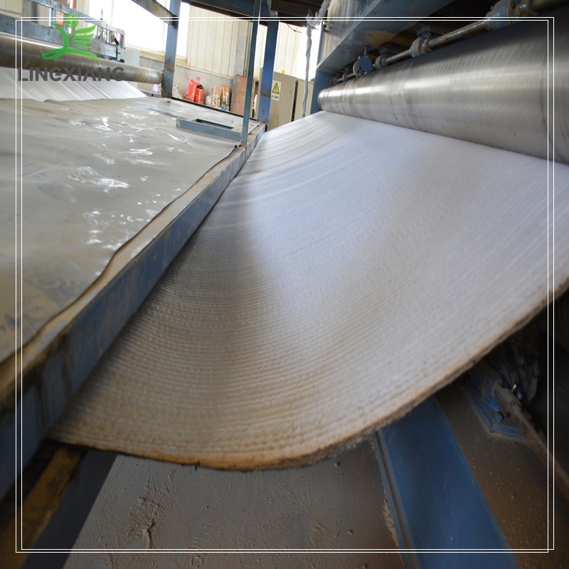 Durable Geosynthetic Clay Liner Waterproof Gcl with Bentonite Coating Landfill/Fish Pond/Municipal Project/Industrial Wast Use Geosynthetics Composite Mat