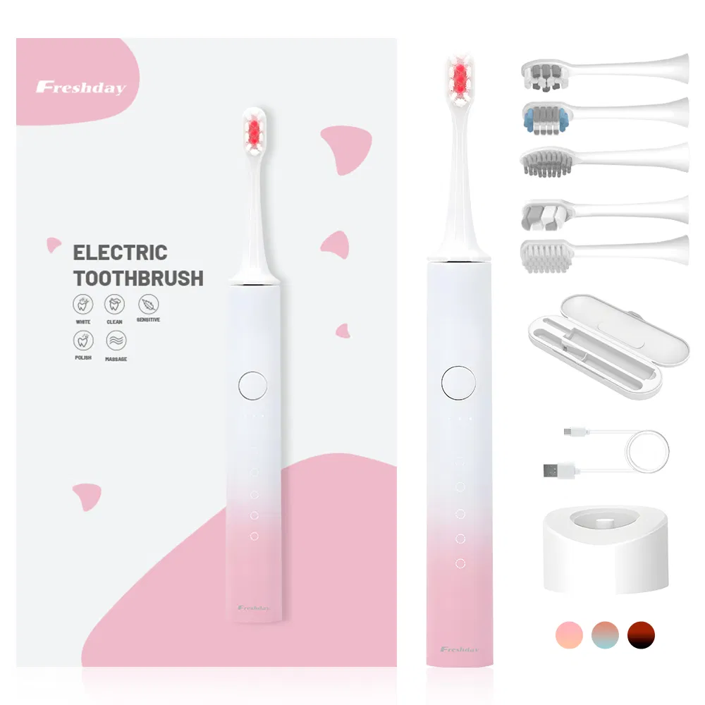 China Factory Wholesale Personalized Travel Portable Smart Waterproof Freshday Sonic Electric Toothbrush