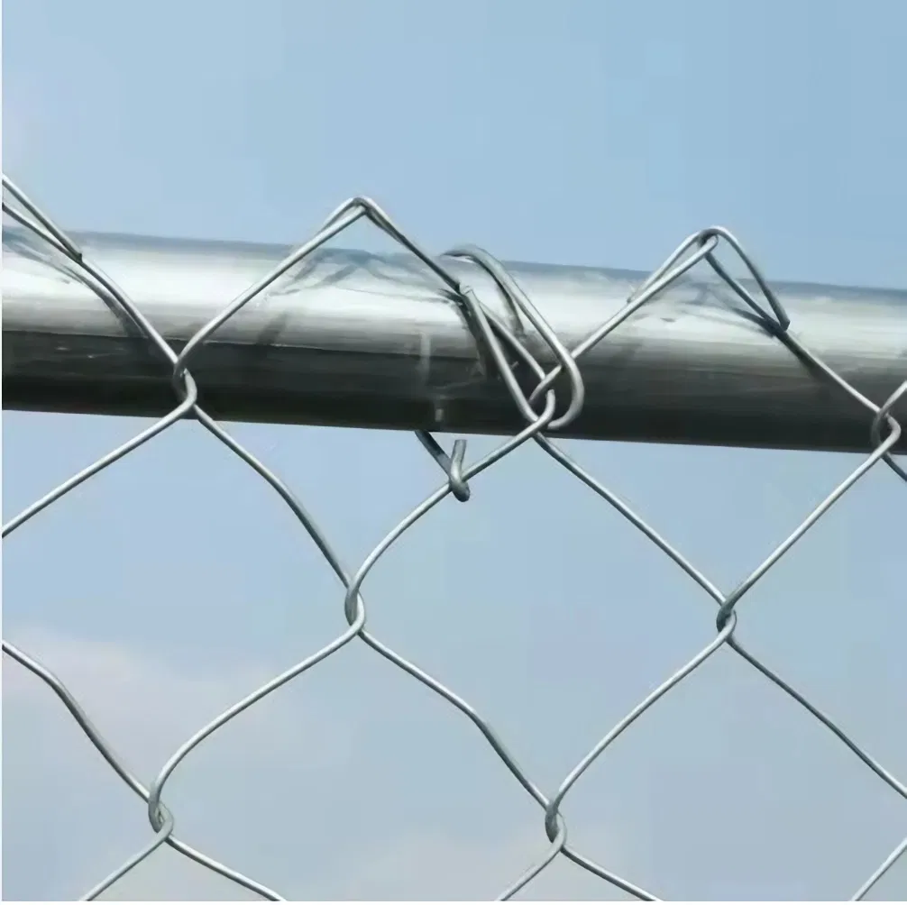 Cheap Galvanized Diamond Wire Netting PVC Chain Link Fence for Seaside Fence