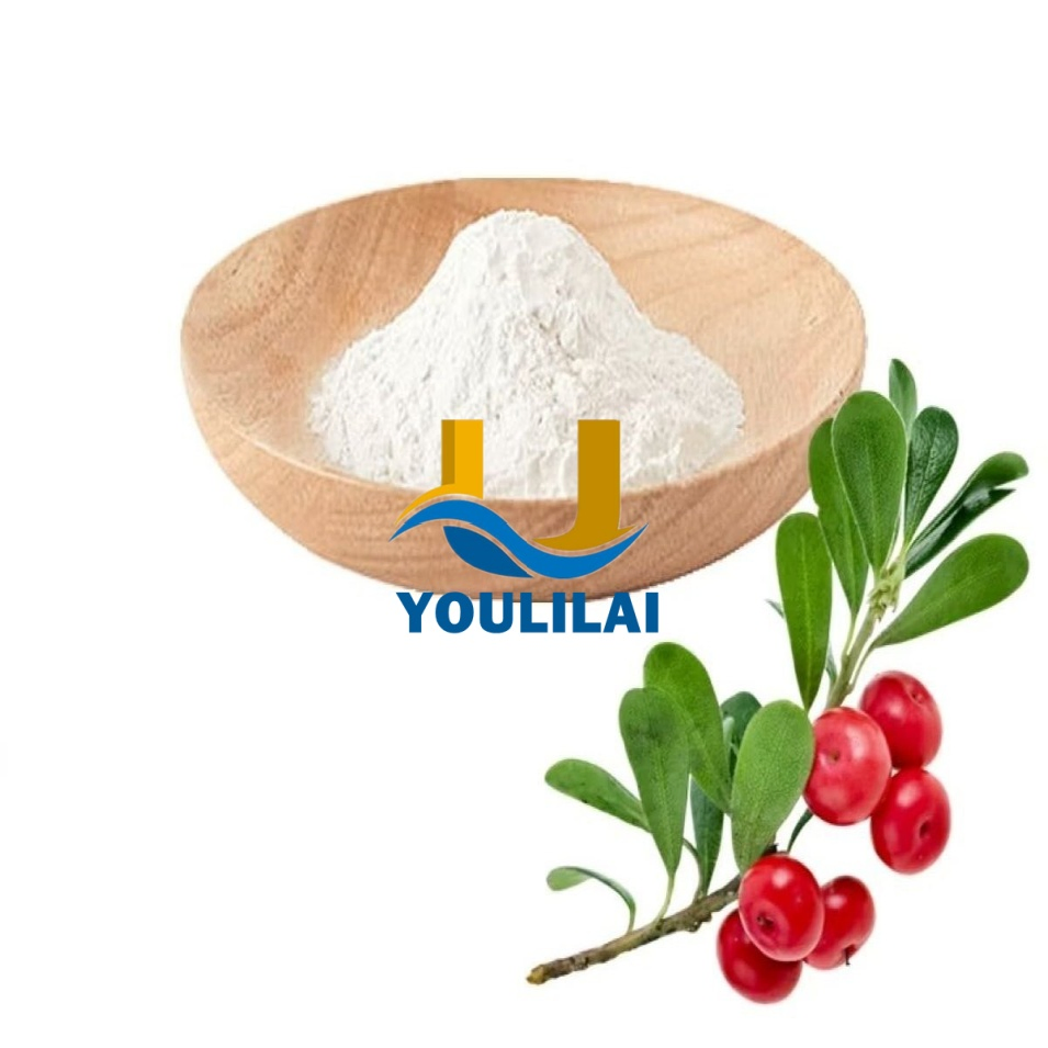 Factorysupply 99% Alpha Arbutin Powder CAS 84380-01-8 for Skin Care Cosmetics Raw Material