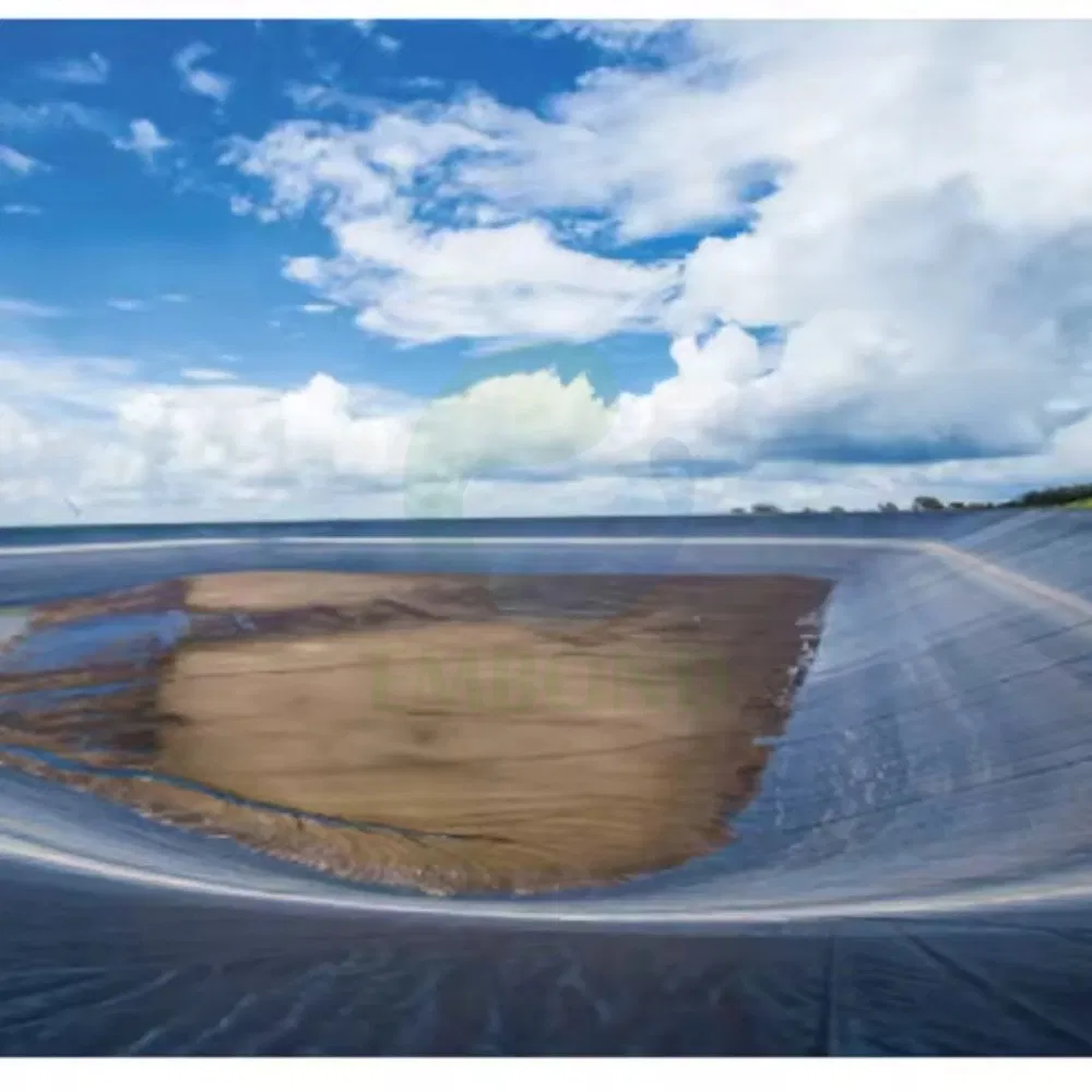 Polyethylene Geomembrane 0.75mm Waterproof Anti-Seepage for Dam & Canal