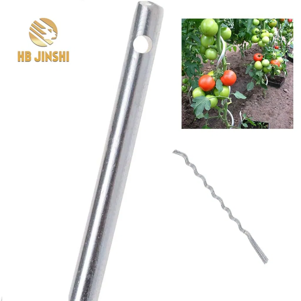 6.0 mm X 180 Cm Metal Wire Galvanized Tomato Spirals