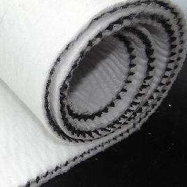 Compound HDPE Composite Geotextile Geonet for Road Railay Highway Landfill Drainage Network Extruder Machine