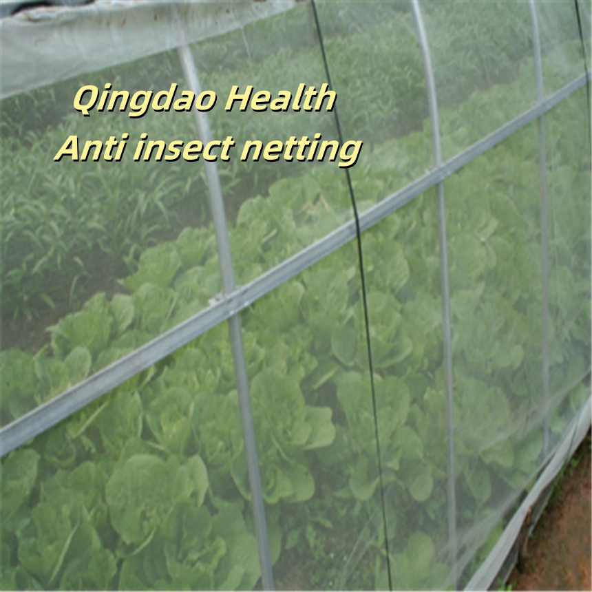 Premium Quality Anti Bird Netting for Garden Protection