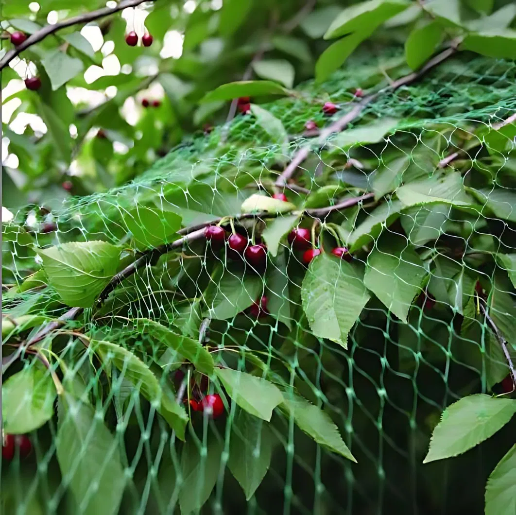 Biodegradable Jute Plant Climbing Net for Eco Friendly Sustainable Gardening Projects