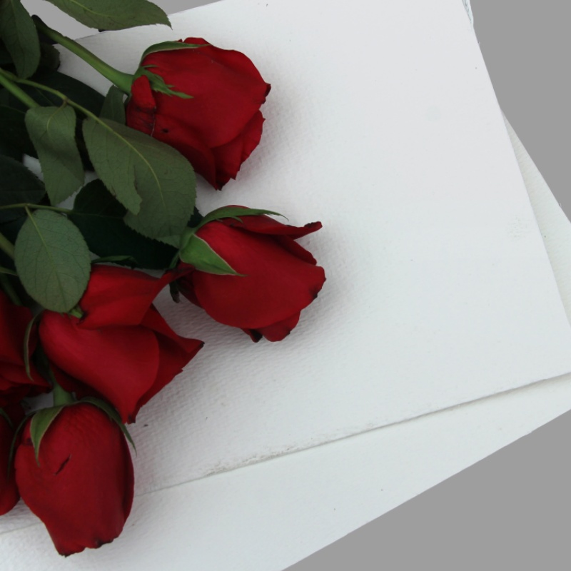 Bamboo Pulp Raw Material Bleached Eco-Friendly Vrigin Pulp for Making Paper