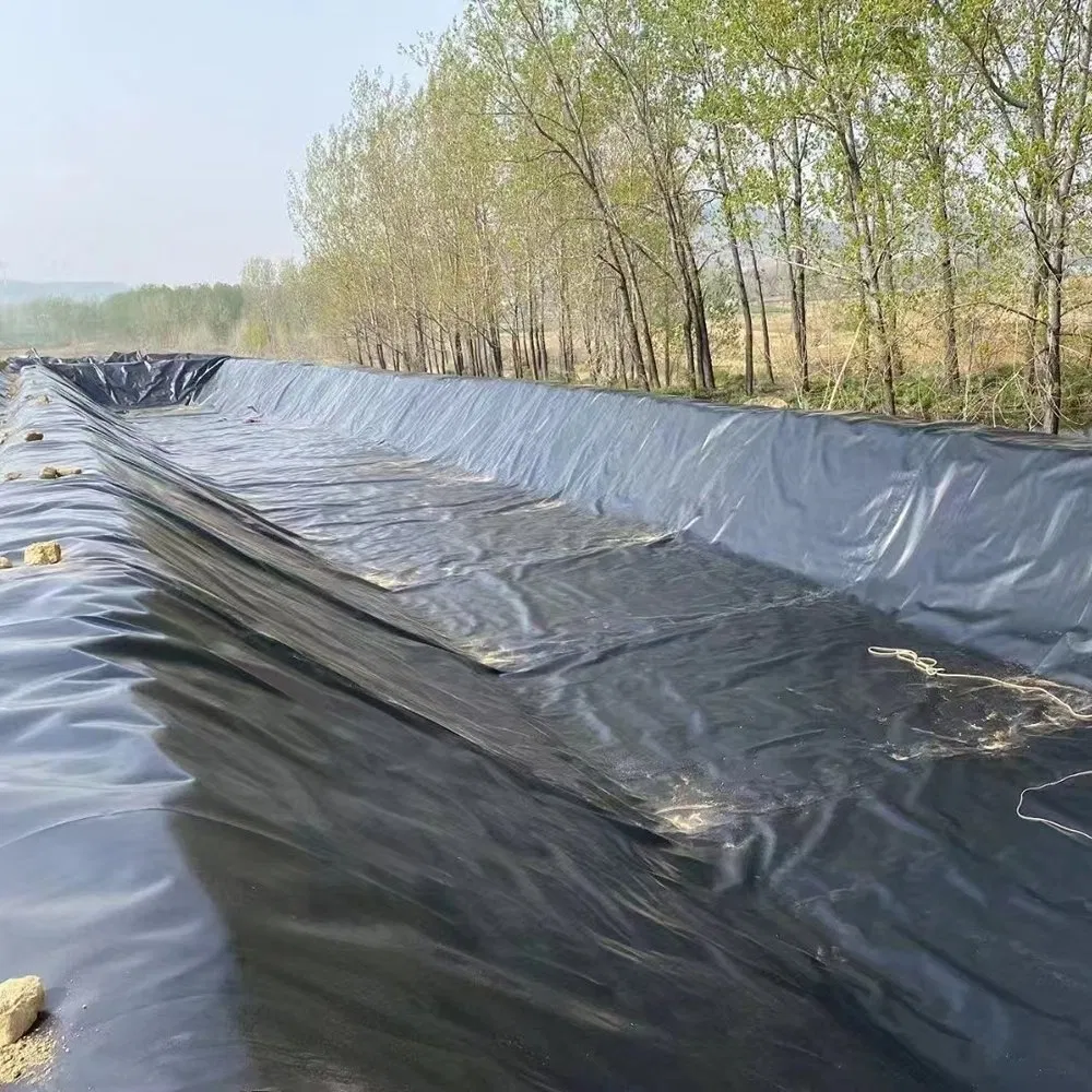 High Strength HDPE Black Color Plastic Landfill Liner Geomembrane for Sanitary Engineering