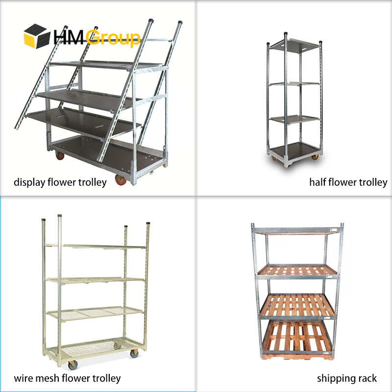 Hot DIP Galvanized Nursery Greenhouse Mushroom Cultivation Rack for Sale
