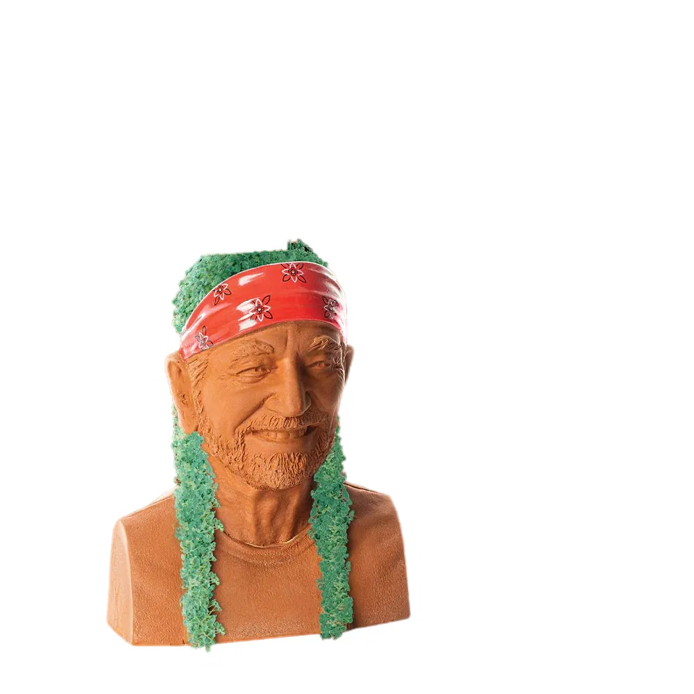 Willie Nelson Chia Pet Handmade Decorative Planter