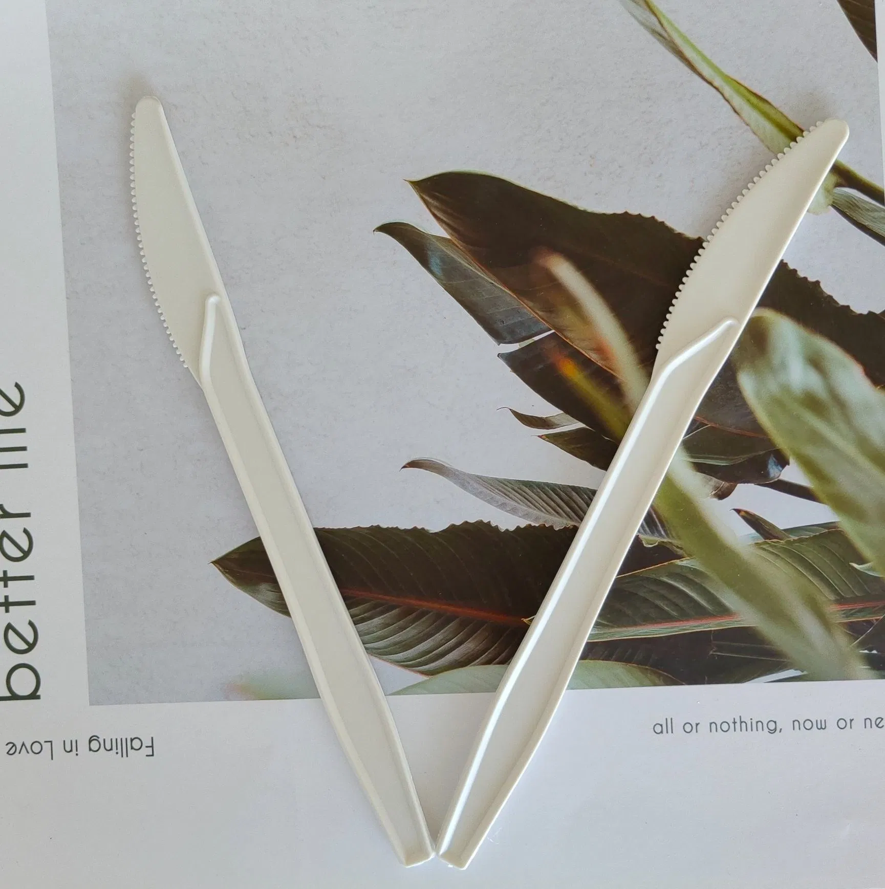 Hot Sell Biodegradable Travel Knife Fork Spoon Cutlery Kit Set Disposable Tableware