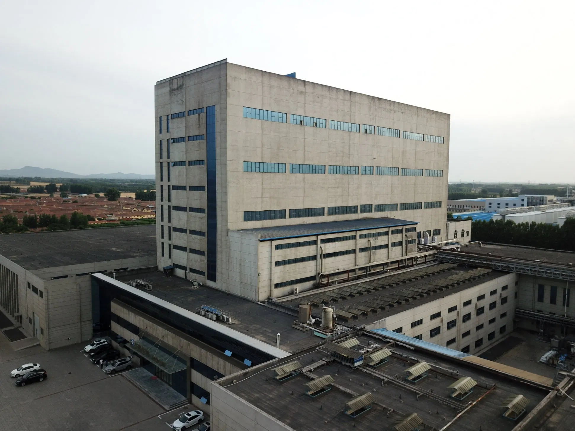 Long Span Steel Structure Food Factory