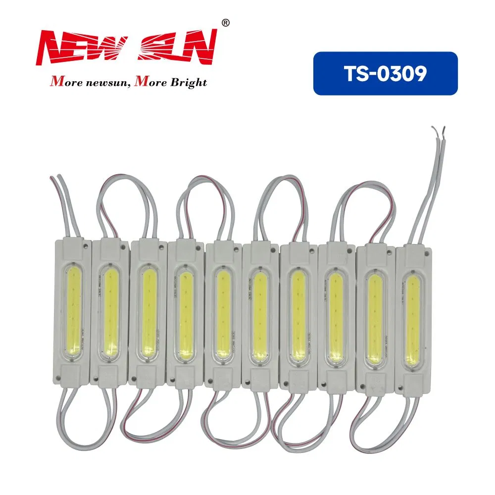 12V High Brightness Waterproof COB LED Module