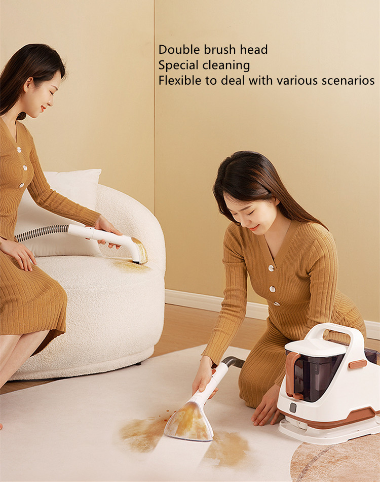 Liyyou Spot Clean Professional Portable Carpet Cleaner - Corded Ly9737b