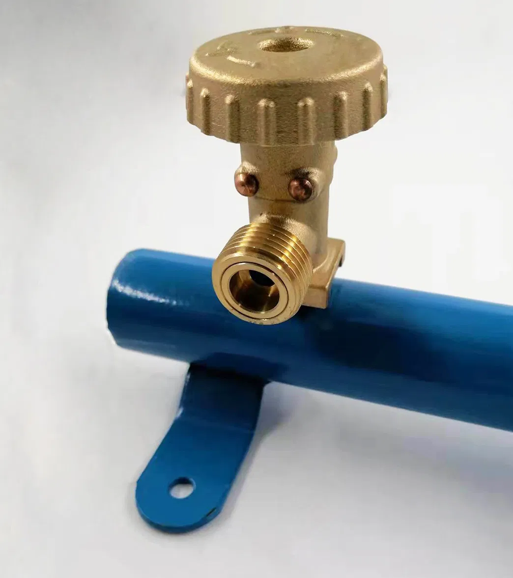 Customizable OEM LPG Manifolds for Cylinders with Ball Valve Type