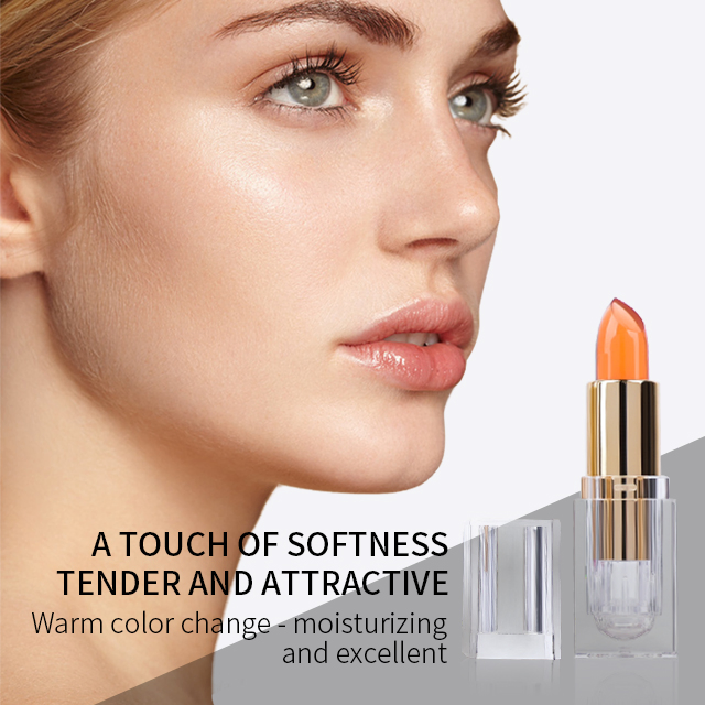 6 Colors Moisture Lipcream Lipstick Liquid Private Label Long Lasting Waterproof Reviver Color Changing Lipstick