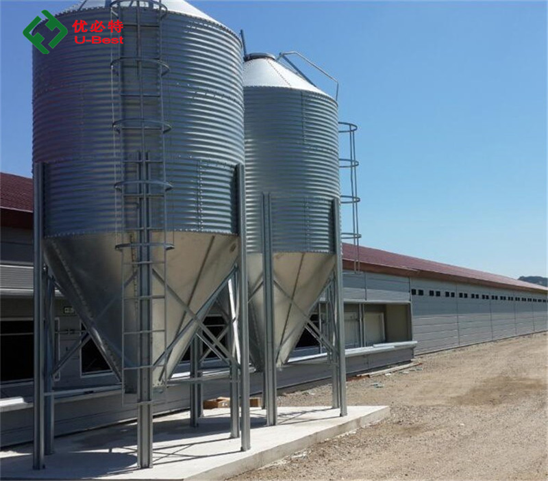 Poultry Chicken Farm Equipment with Automatic Feeding System