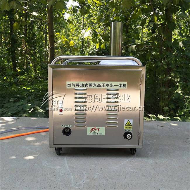 Car Engine Caebon Cleaning Machine High Pressure Car Washer for Engine