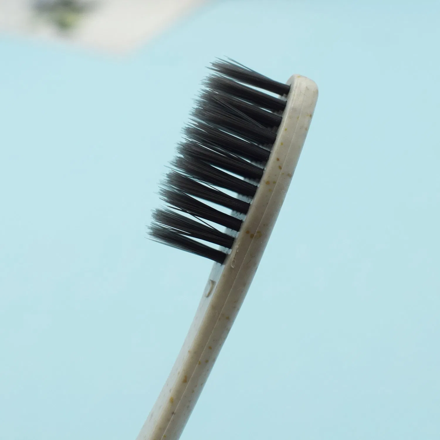 Wholesale Adult Daily Cleaner 5 Star Hotel Guest Room Wheat Straw Toothbrush