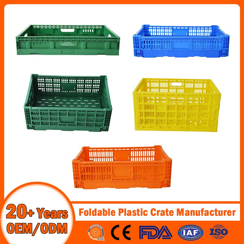China Foldable Plastic Crate Manufacturer Nestable Mesh Tote Crate for Moving/Turnover/EU/Lobster/Bread/Bale/Egg/Mike Logistaic/Supermarket/Vegetable/Fruit