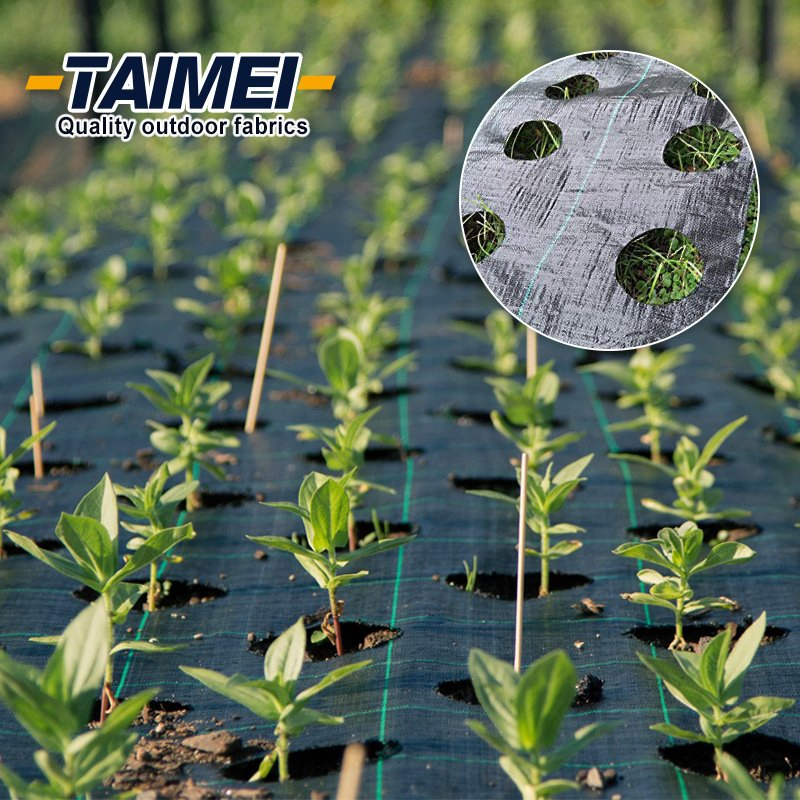 PP Control Mat Ground Cover Mat Landscape Weed Barrier Fabric for Garden